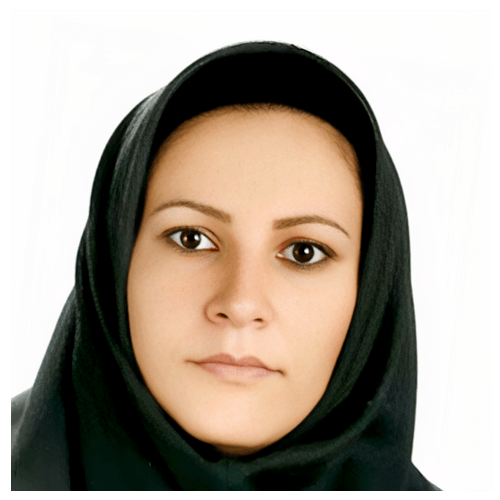 سلب ناز حمیدی
